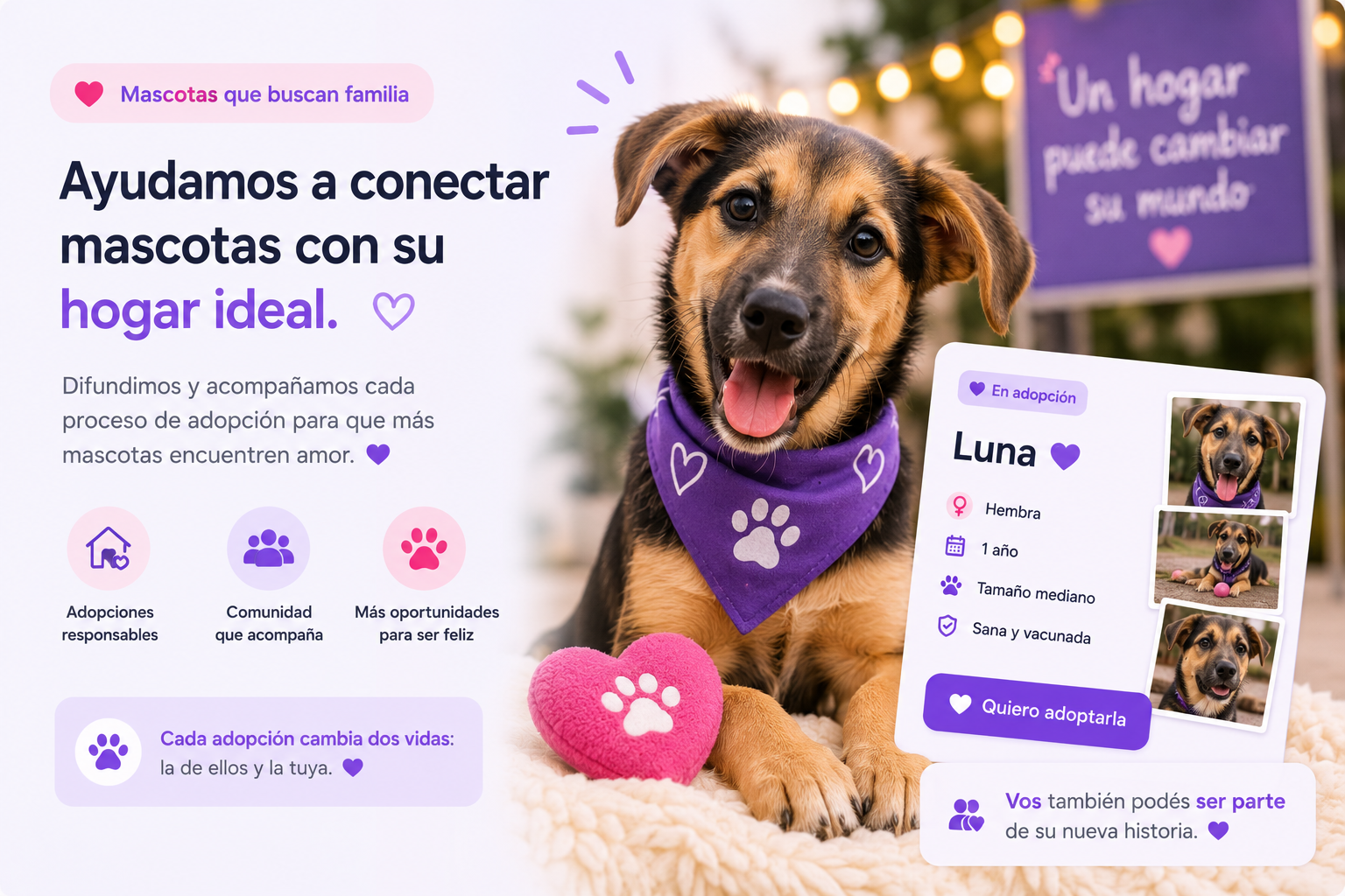 Mascotas que buscan familia
